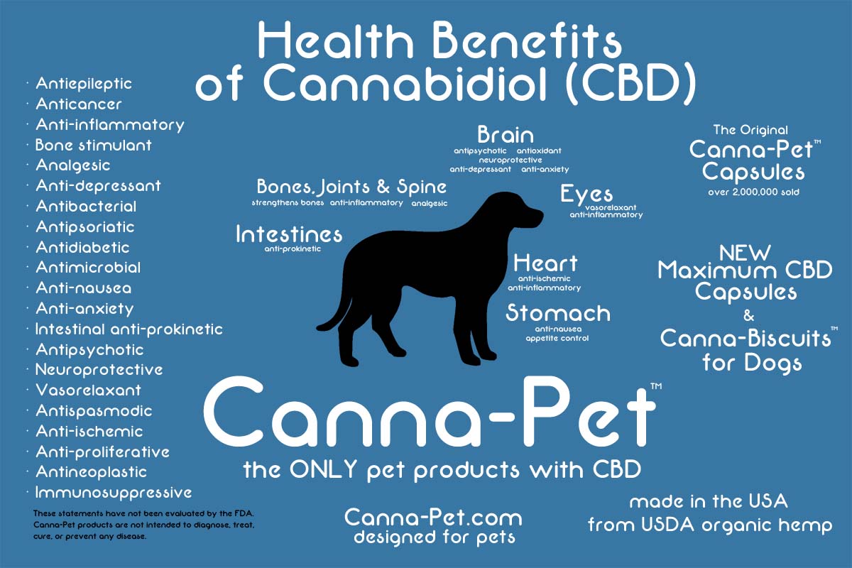 cbd for dogs announcing canna pet maximum cbd capsules the ultimate cannabidiol supplement for cbd for dogs announcing canna pet maximum cbd capsules the ultimate cannabidiol supplement for