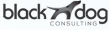 Black Dog Consulting